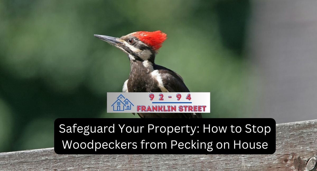 Safeguard Your Property: How to Stop Woodpeckers from Pecking on House